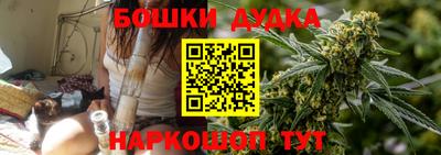 дурь Сланцы