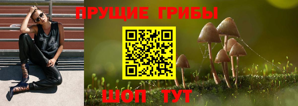 Галлюциногенные грибы прущие грибы  Вход с VPN  Нововоронеж 